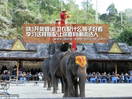 快3开奖查询|卫衣配什么裤子好看 学习这样搭配让你变身潮流达人(图1) 快3走势分析