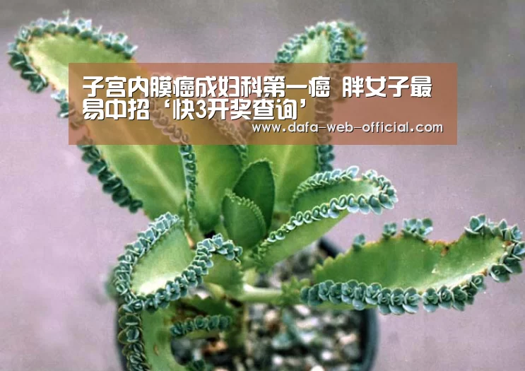 子宫内膜癌成妇科第一癌 胖女子最易中招‘快3开奖查询’(图2) 快3官网