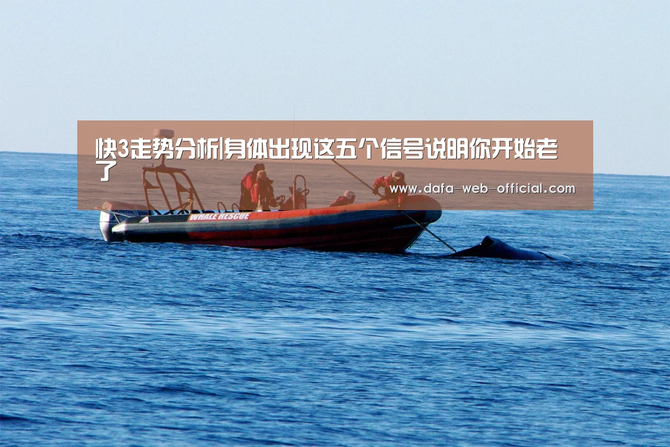 快3开奖查询