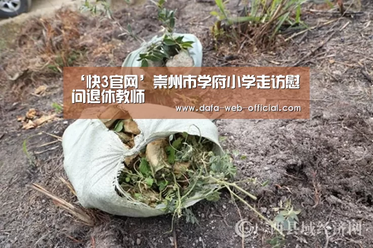 快3走势分析